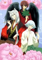 Kamisama Hajimemashita 20 (Small)